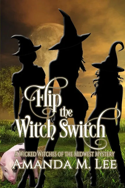 Flip the Witch Switch - Paperback
