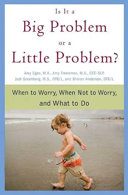 Is It a Big Problem or a Little Problem? - Paperback