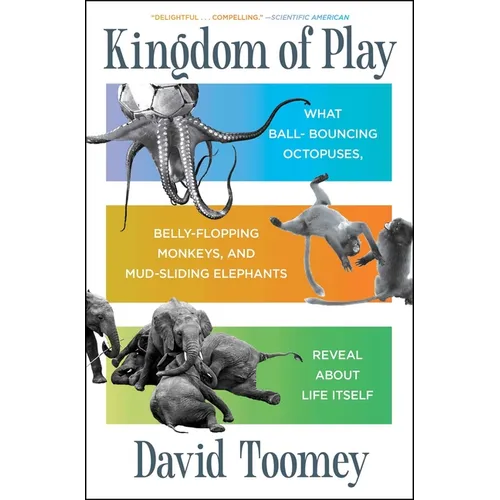 Kingdom of Play: What Ball-Bouncing Octopuses, Belly-Flopping Monkeys, and Mud-Sliding Elephants Reveal about Life Itself - Paperback