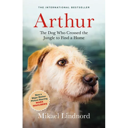 Arthur: The Dog Who Crossed the Jungle to Find a Home - Paperback