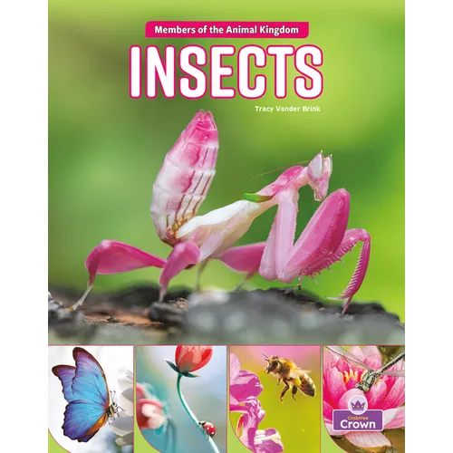 Insects - Library Binding