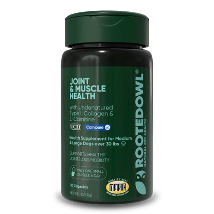 Joint & Muscle Health