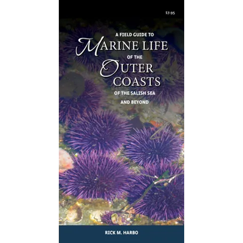 A Field Guide to Marine Life of the Outer Coasts of the Salish Sea and Beyond - Paperback