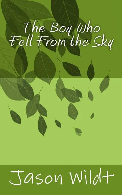 The Boy Who Fell From the Sky - Paperback