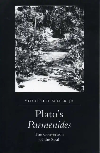 Plato's Parmenides: The Conversion of the Soul - Paperback
