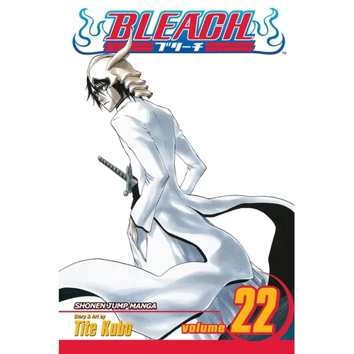 Bleach, Vol. 22 - Paperback