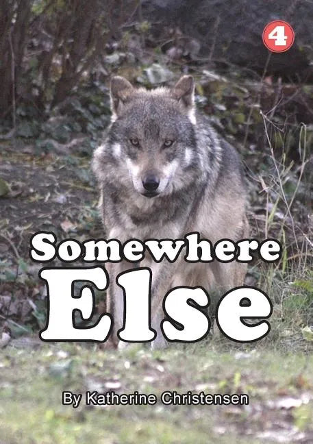 Somewhere Else - Paperback