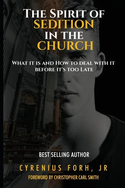 The Spirit of Sedition In The Church - Paperback