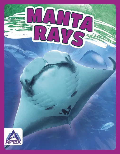 Manta Rays - Paperback