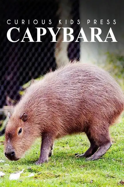 Capybara - Curious Kids Press: Kids book about animals and wildlife, Children's books 4-6 - Paperback