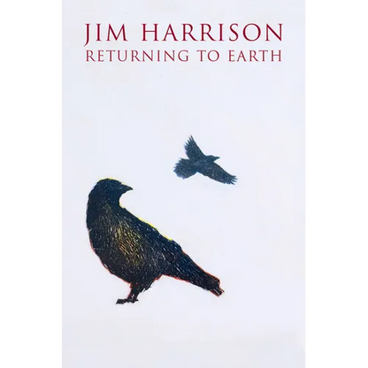 Returning to Earth - Paperback