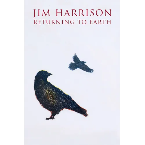 Returning to Earth - Paperback