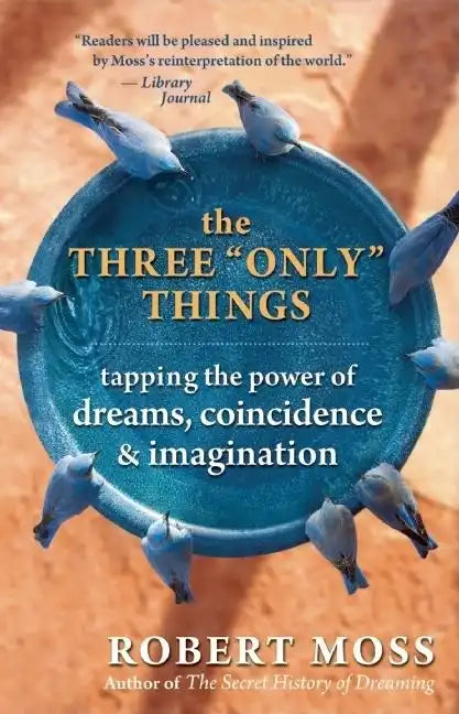 The Three Only Things: Tapping the Power of Dreams, Coincidence, and Imagination - Paperback