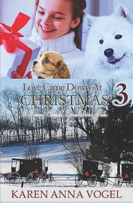 Love Came Down At Christmas 3: A Fancy Amish Smicksburg Tale - Paperback