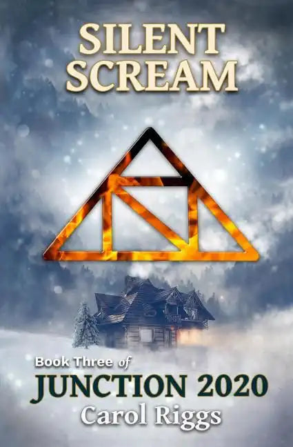 Junction 2020: Book Three: Silent Scream - Paperback