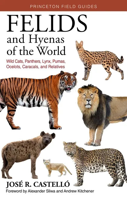 Felids and Hyenas of the World: Wildcats, Panthers, Lynx, Pumas, Ocelots, Caracals, and Relatives - Paperback