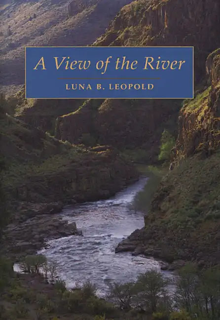 A View of the River - Paperback