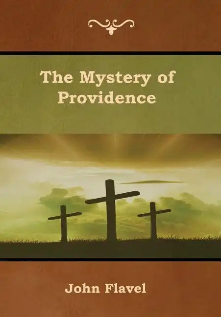 The Mystery of Providence - Hardcover
