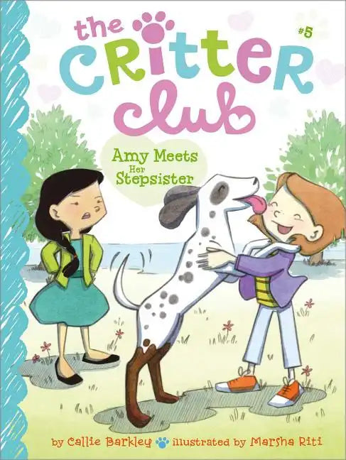 Amy Meets Her Stepsister - Hardcover