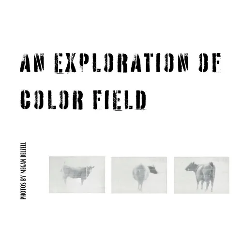 An Exploration In Color Field - Paperback