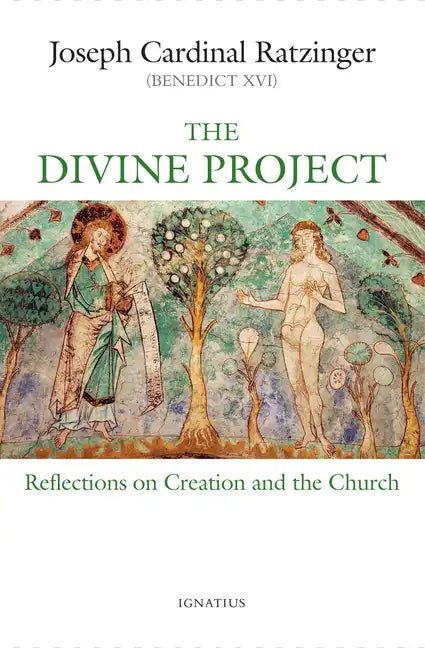 The Divine Project: Reflections on Creation and the Church - Paperback