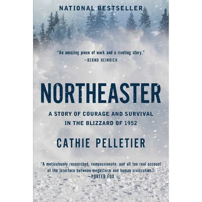 Northeaster: A Story of Courage and Survival in the Blizzard of 1952 - Paperback