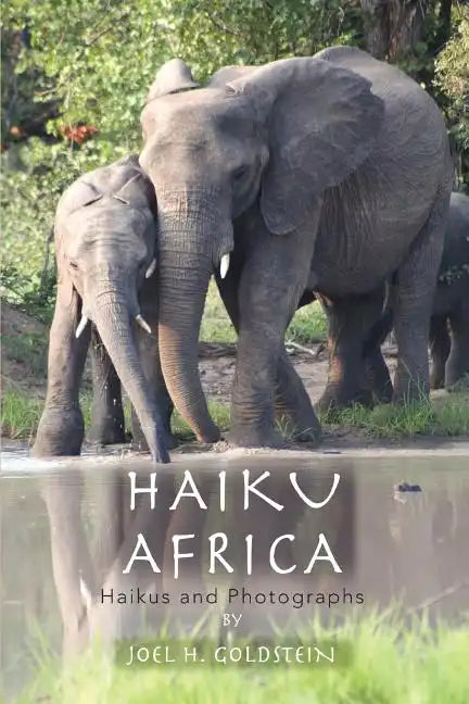Haiku Africa: Haikus and Photographs - Paperback