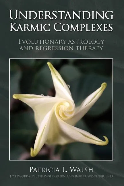Understanding Karmic Complexes - Paperback