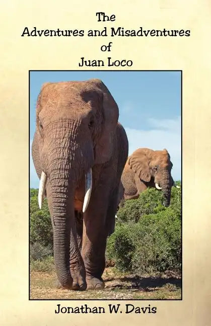 The Adventures and Misadventures of Juan Loco - Paperback