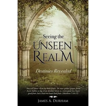 Seeing the Unseen Realm - Paperback