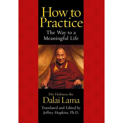 How to Practice: The Way to a Meaningful Life - Paperback