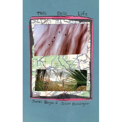 This Still Life - Paperback