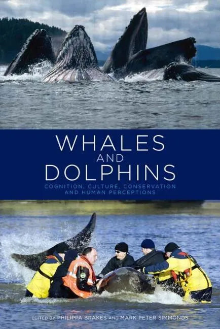 Whales and Dolphins: Cognition, Culture, Conservation and Human Perceptions - Paperback