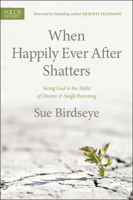 When Happily Ever After Shatters: Seeing God in the Midst of Divorce & Single Parenting - Paperback