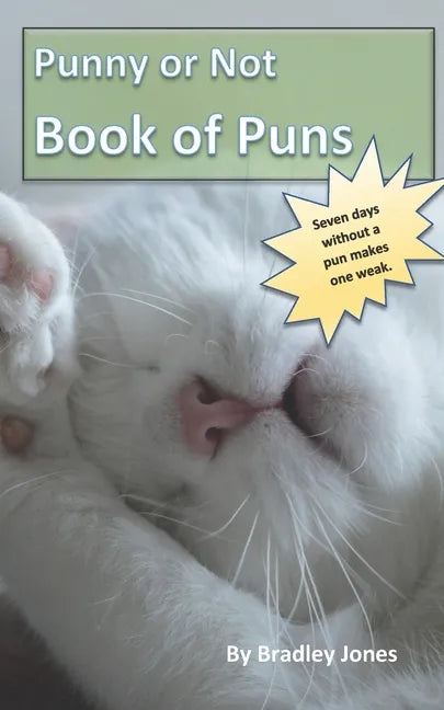 Punny or Not Book of Puns - Paperback