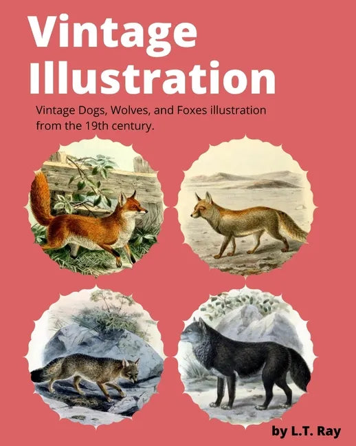 Vintage Illustration: Vintage Dogs, Wolves, and Foxes illustration from the 19th century. - Paperback