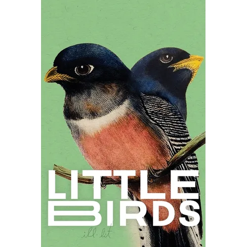 Little Birds 2 (green): 2 (green) - Paperback