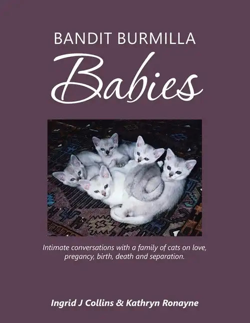 Bandit Burmilla Babies: Intimate Conversations with a Family of Cats on Love, Pregancy, Birth, Death and Separation. - Paperback