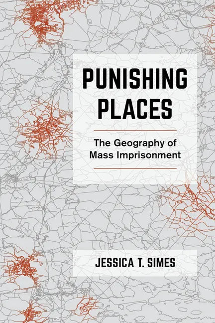 Punishing Places: The Geography of Mass Imprisonment - Paperback
