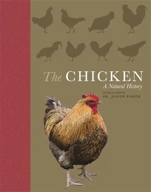 The Chicken: A Natural History - Paperback