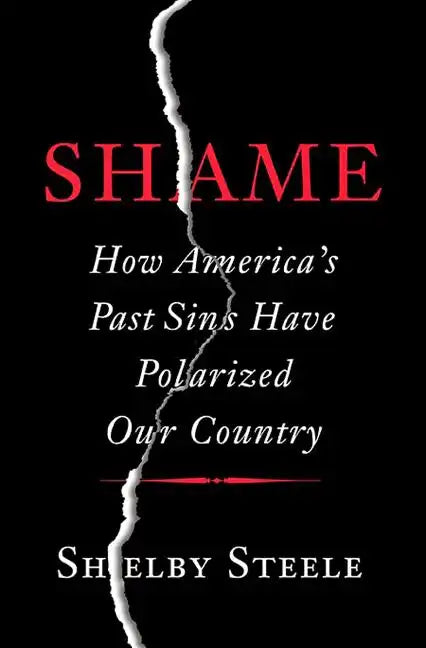 Shame: How America's Past Sins Have Polarized Our Country - Hardcover