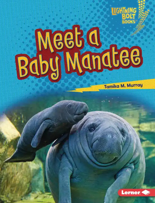 Meet a Baby Manatee - Library Binding