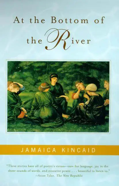 At the Bottom of the River - Paperback