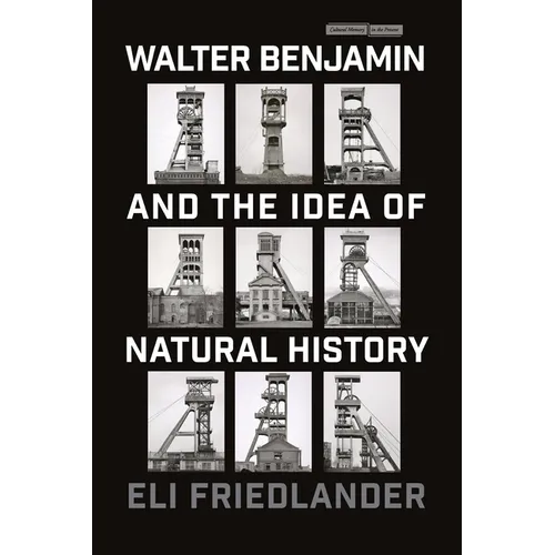 Walter Benjamin and the Idea of Natural History - Paperback