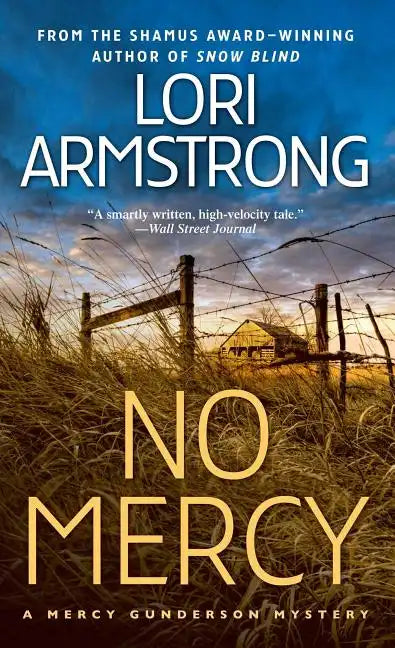 No Mercy: A Mercy Gunderson Mystery - Paperback