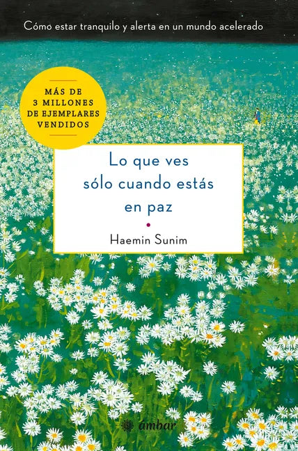 Lo Que Ves Sólo Cuando Estás En Paz: Cómo Estar Tranquilo Y Alerta En Un Mundo Acelerado - Paperback
