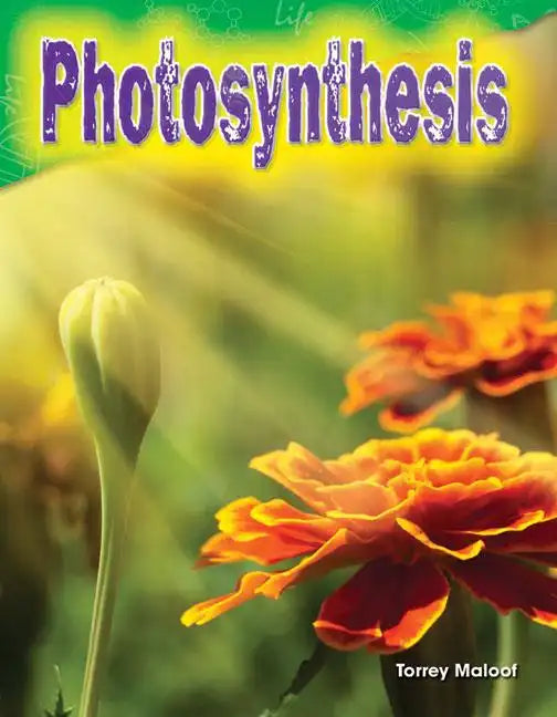 Photosynthesis - Paperback