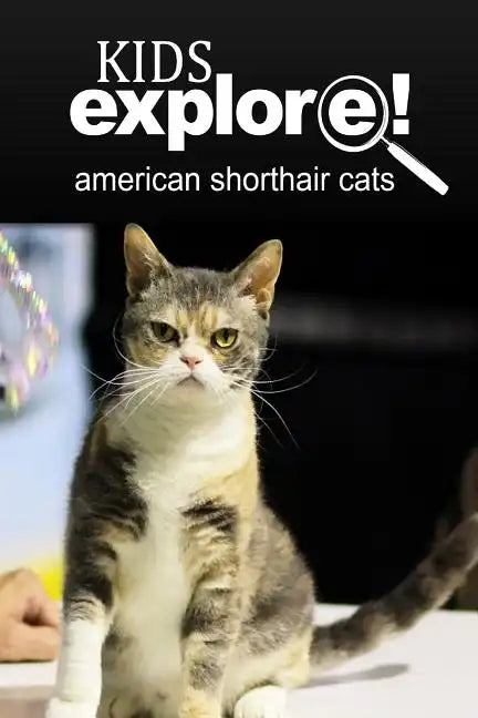 American Shorthair Cat - Kids Explore: Animal books nonfiction - books ages 5-6 - Paperback