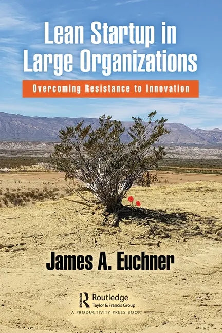 Lean Startup in Large Organizations: Overcoming Resistance to Innovation - Paperback
