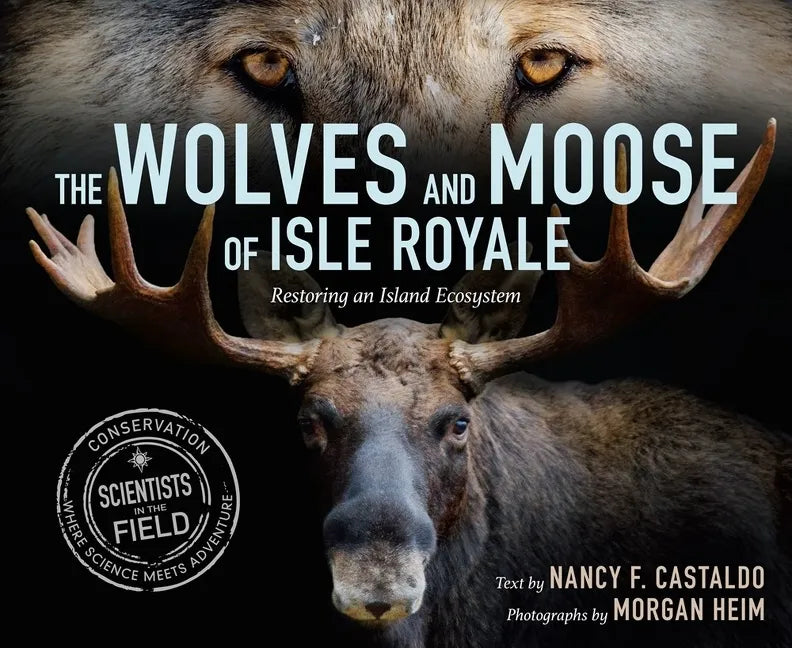 The Wolves and Moose of Isle Royale: Restoring an Island Ecosystem - Hardcover